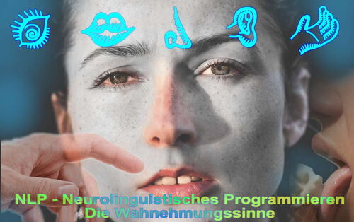 Systemische Aufstellungen und Coaching mit - NLP - Neurolinguistisches Programmieren - owi Praxis für Integrative Hypnosetherapie - Veränderungscoaching  - www.hypnose-hilfe.ch