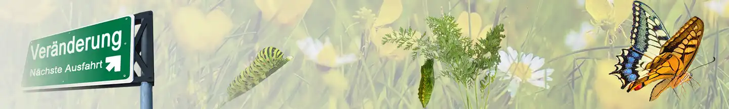 owi Praxis für Integrative Hypnosetherapie, Hypnotherapie  und Veränderungscoaching